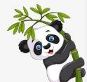 色猫直播APP应用
